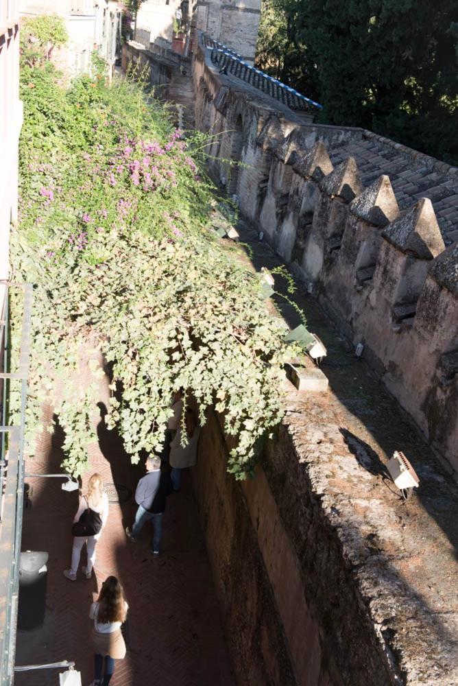 Apartamento Casa Callejon Del Agua Sevilla Eksteriør billede