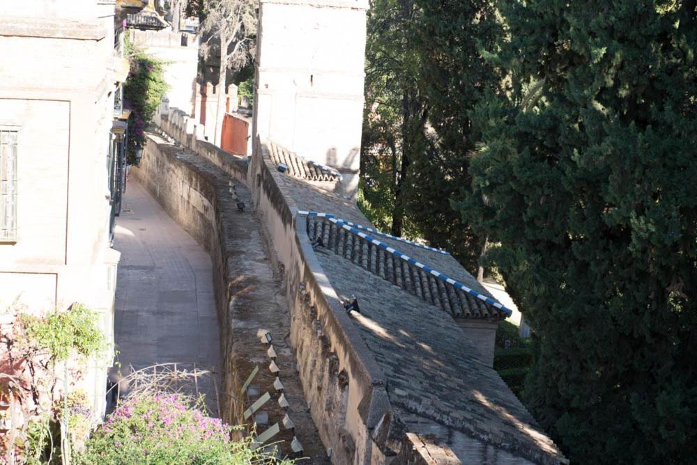 Apartamento Casa Callejon Del Agua Sevilla Eksteriør billede