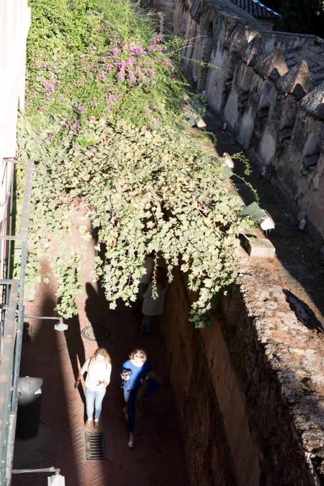 Apartamento Casa Callejon Del Agua Sevilla Eksteriør billede
