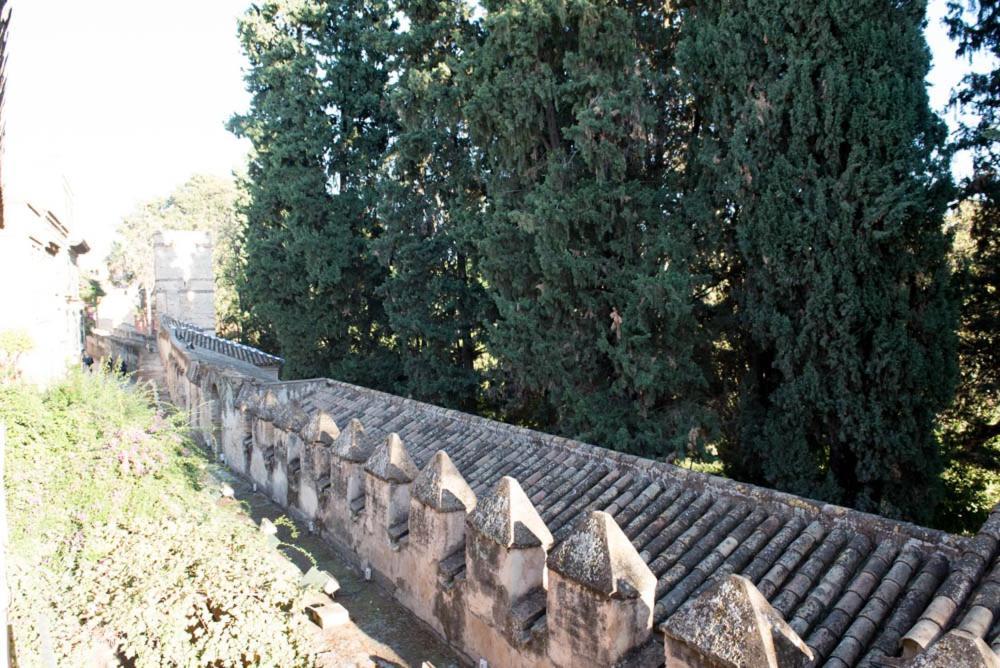 Apartamento Casa Callejon Del Agua Sevilla Eksteriør billede